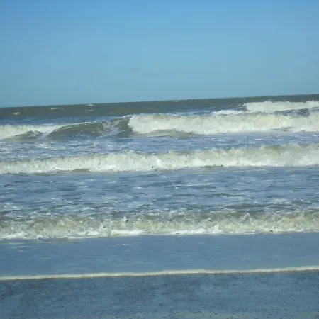 Orange Seaview *